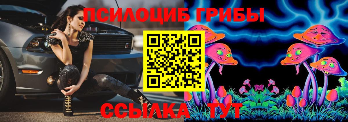 Галлюциногенные грибы мухоморы Курчалой