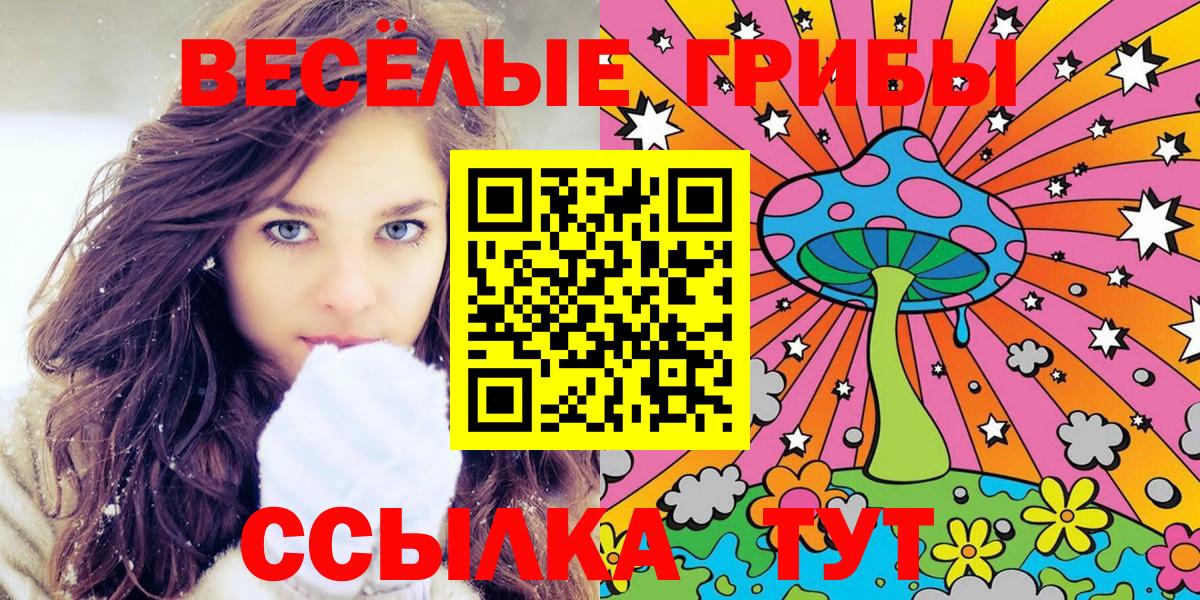 где продают наркотики  Галлюциногенные грибы Cubensis  Вход с VPN  Курчалой 