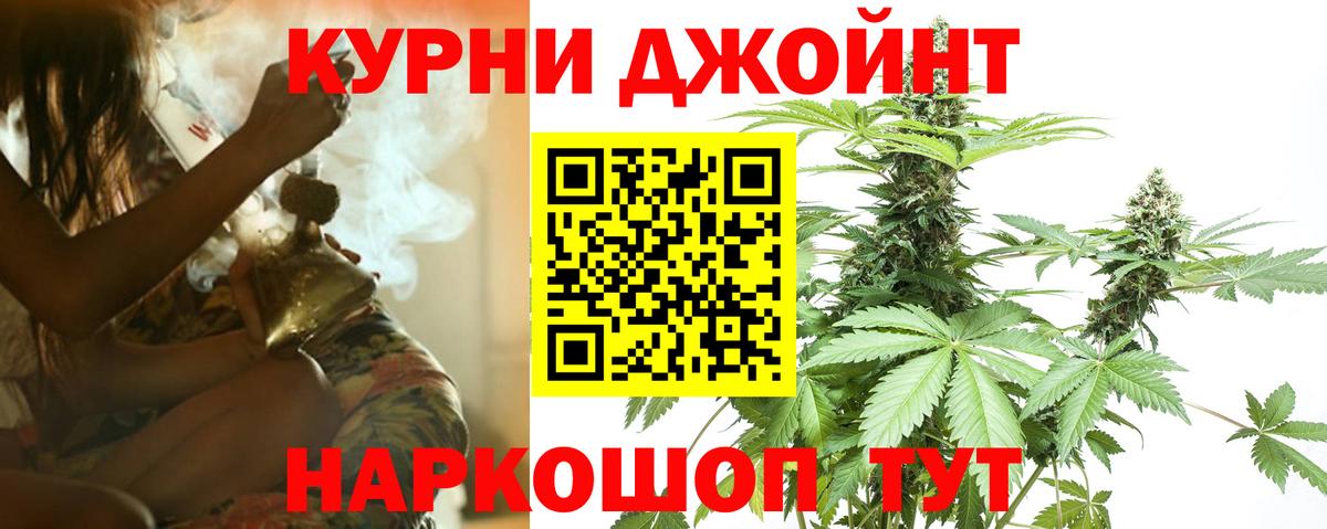 Конопля OG Kush Курчалой